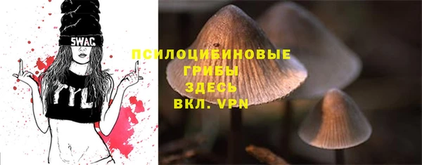 амф Беломорск