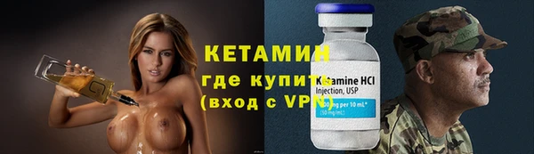 сатива Белокуриха