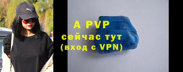 сатива Белокуриха