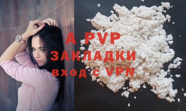 сатива Белокуриха
