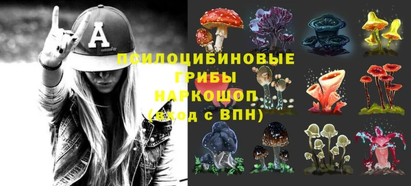 сатива Белокуриха
