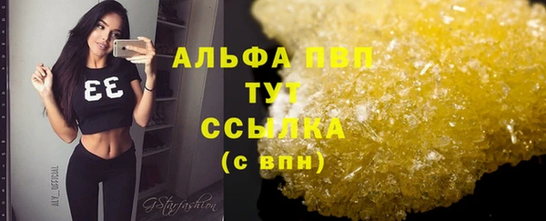 амф Беломорск