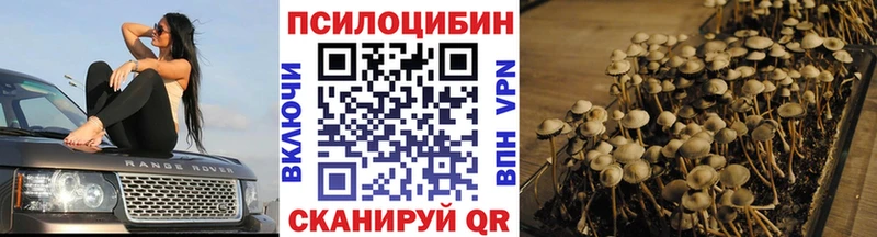 Галлюциногенные грибы мицелий Сланцы