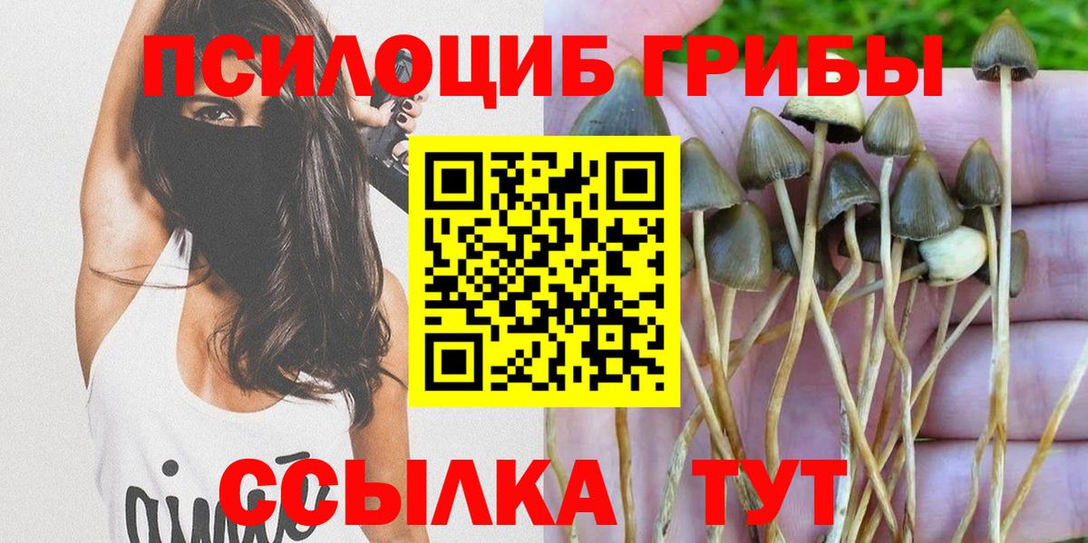 Псилоцибиновые грибы GOLDEN TEACHER Сланцы