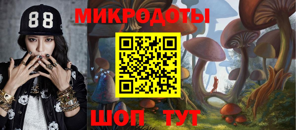 Сланцы  Галлюциногенные грибы ЛСД  Вход с VPN 