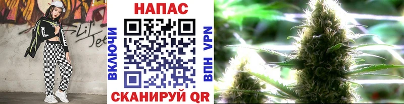 Бошки марихуана планчик  Сланцы 